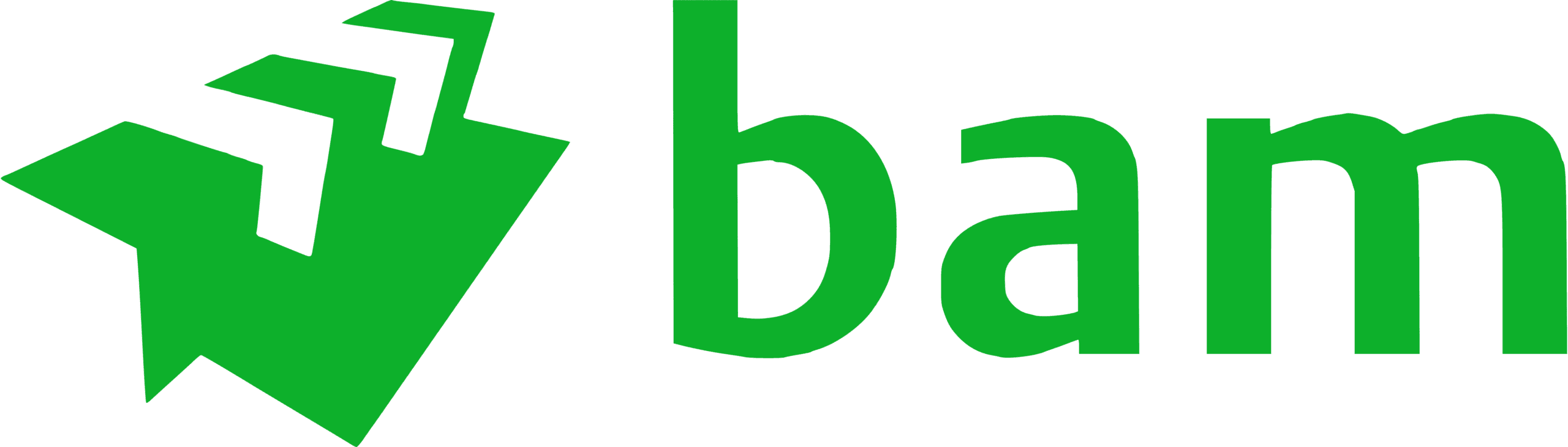 BAM